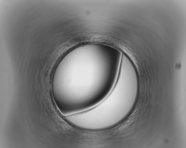X0000095120673200712070944