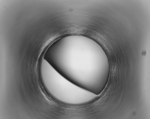 X0000095120674200712070944