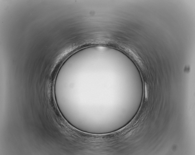 X0000095120675200712070944