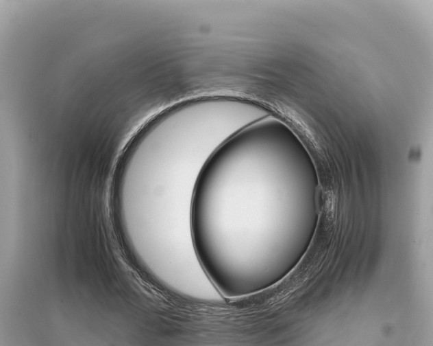 X0000095120676200712070944