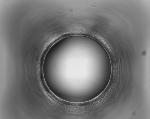 X0000095120677200712070944