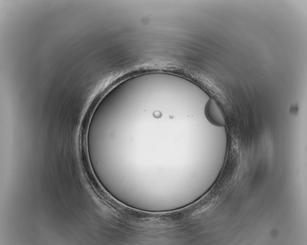 X0000095120678200712070944