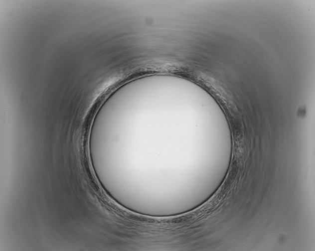 X0000095120679200712070944