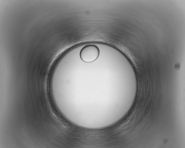 X0000095120680200712070944