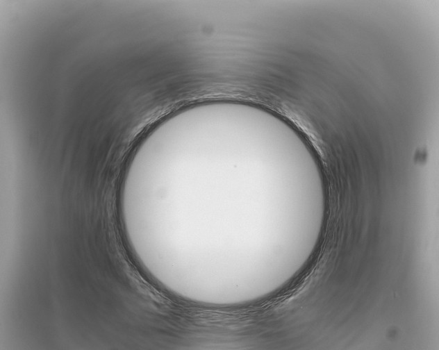 X0000095120681200712070944