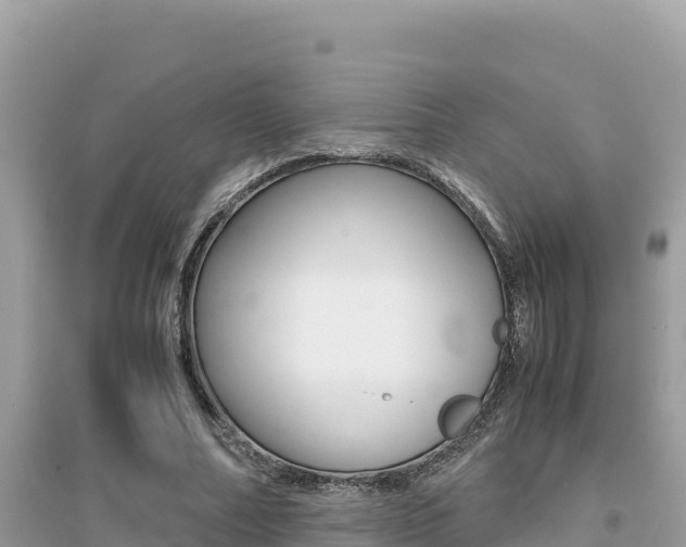 X0000095120682200712070944