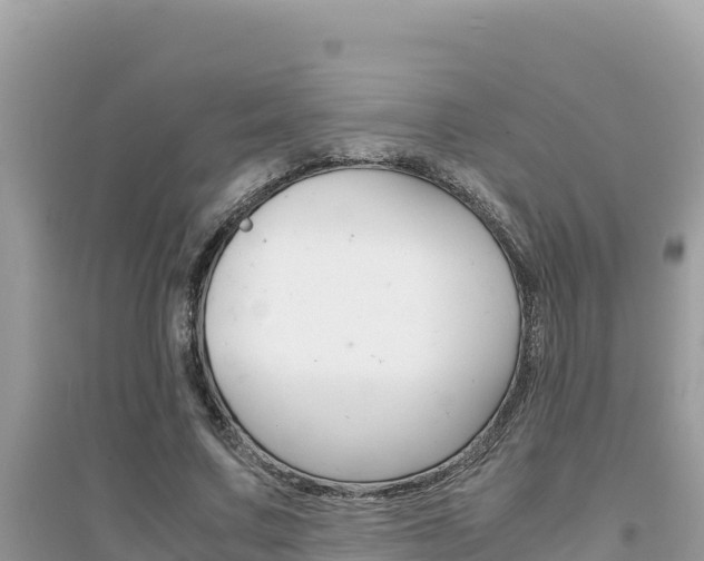 X0000095120683200712070944
