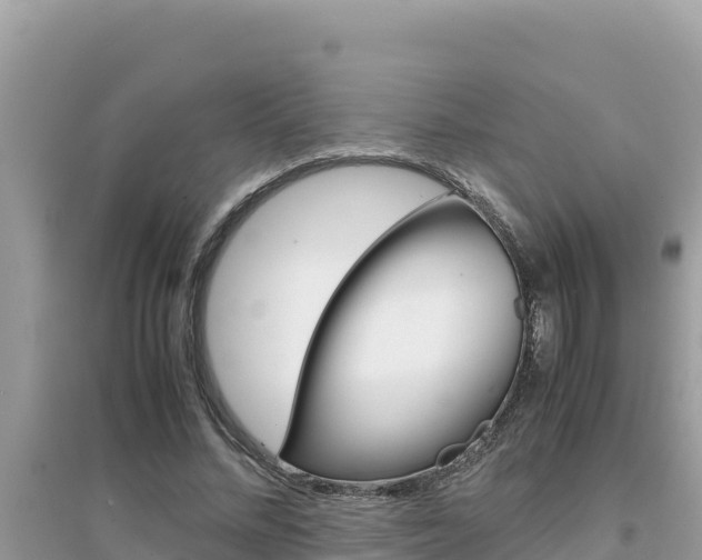 X0000095120684200712070943