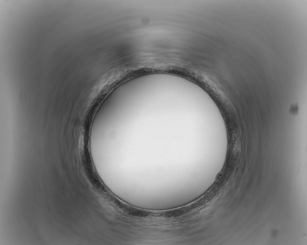 X0000095120685200712070943