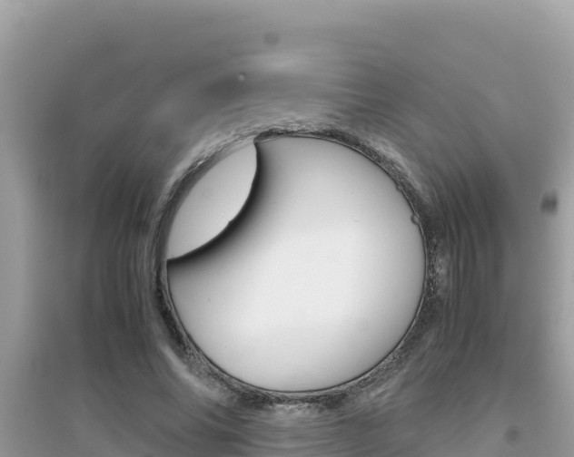 X0000095120686200712070943