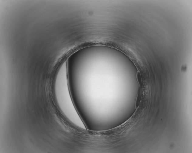X0000095120688200712070943