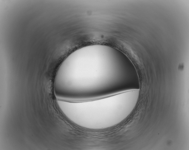 X0000095120689200712070943