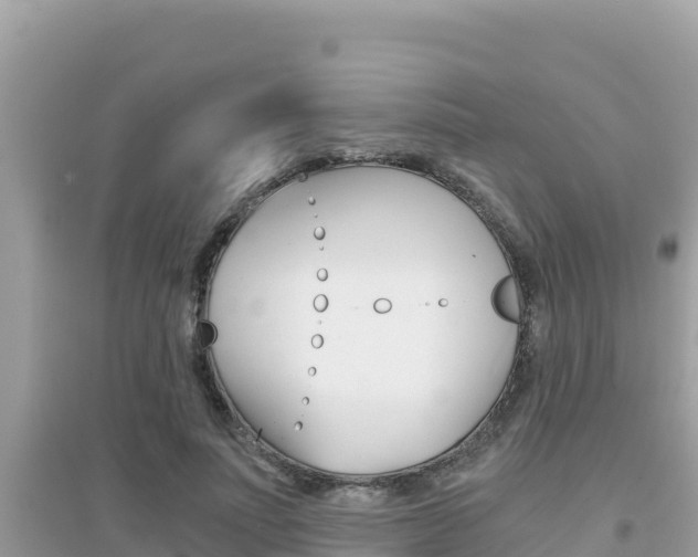 X0000095120691200712070943