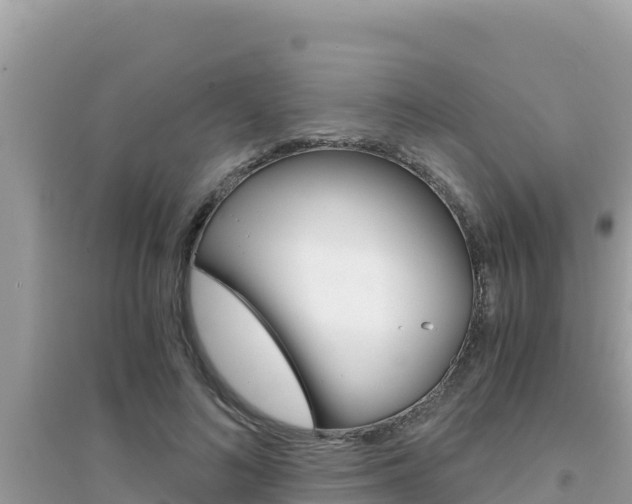 X0000095120692200712070943
