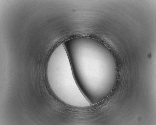 X0000095120693200712070943