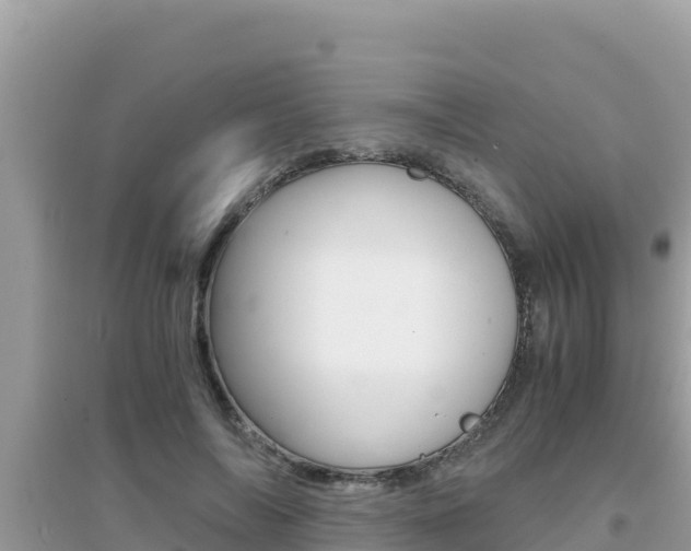 X0000095120694200712070943