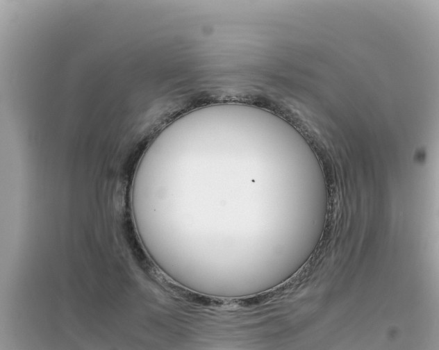 X0000095120695200712070943