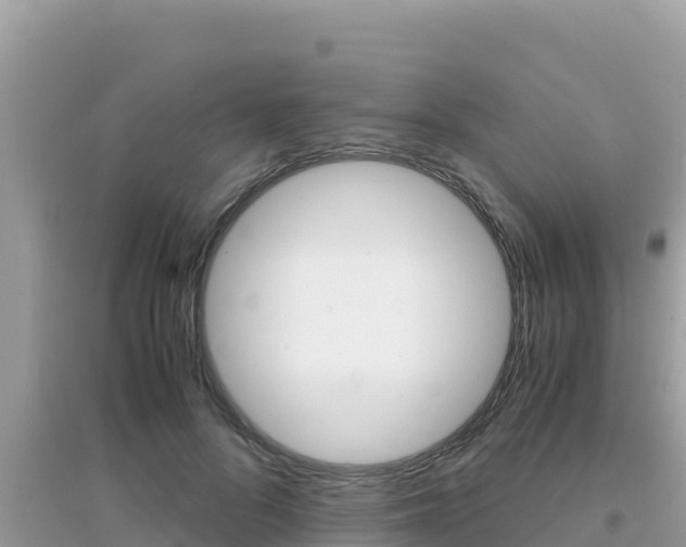 X0000095120696200712070943