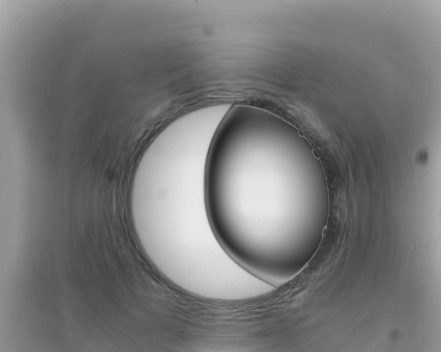 X0000095120697200712070943