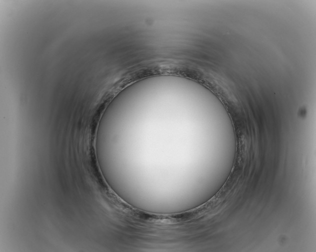 X0000095120698200712070943
