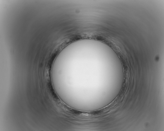 X0000095120699200712070943