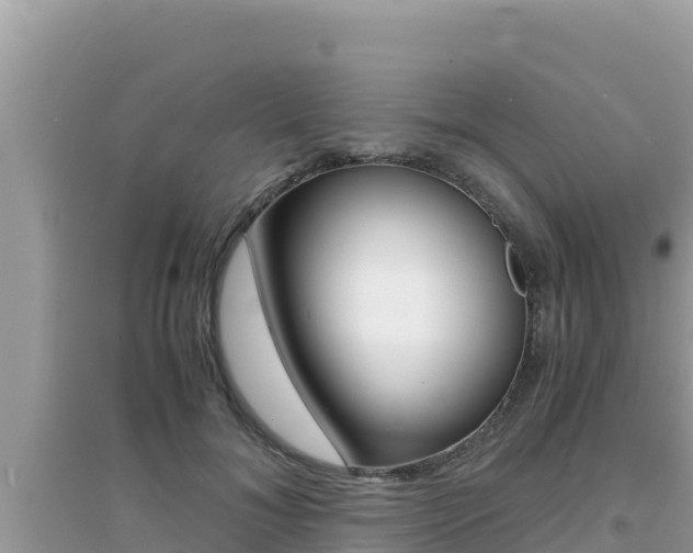 X0000095120700200712070943