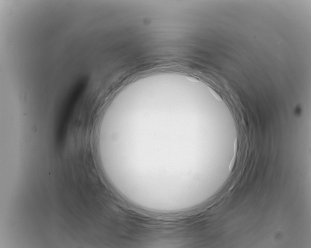 X0000095120701200712070943