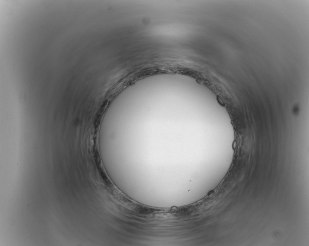 X0000095120702200712070943