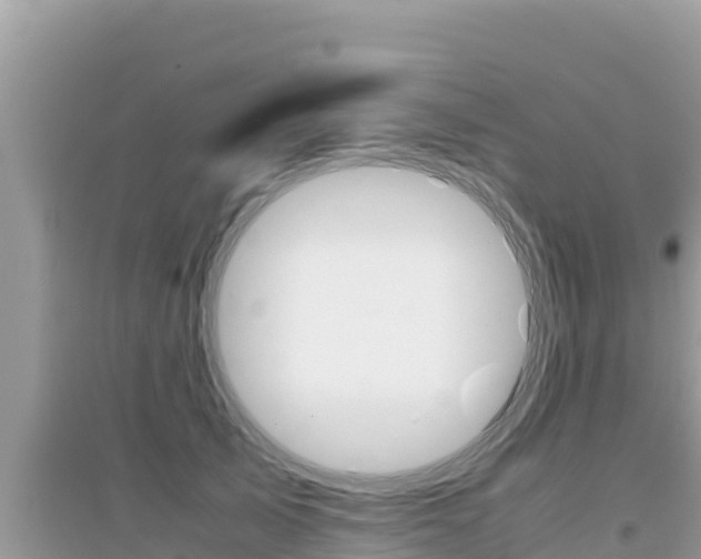 X0000095120705200712070943