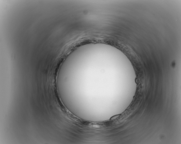X0000095120706200712070943