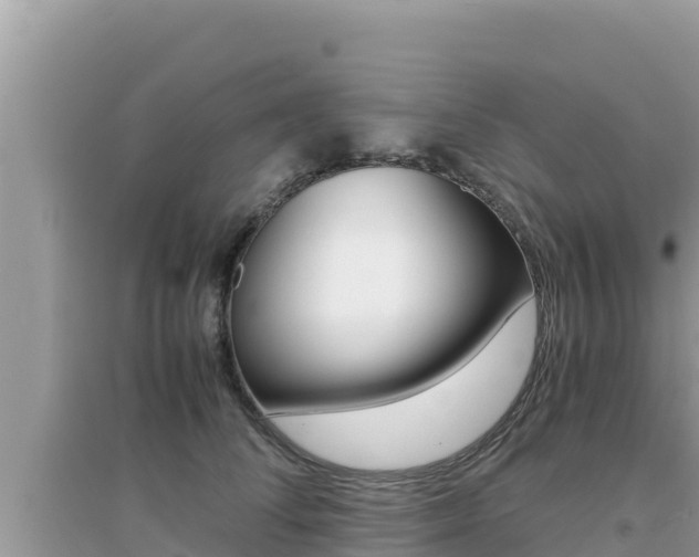 X0000095120708200712070943