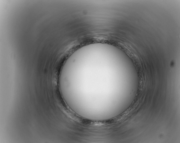 X0000095120710200712070943