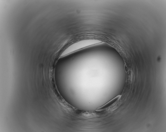 X0000095120712200712070943
