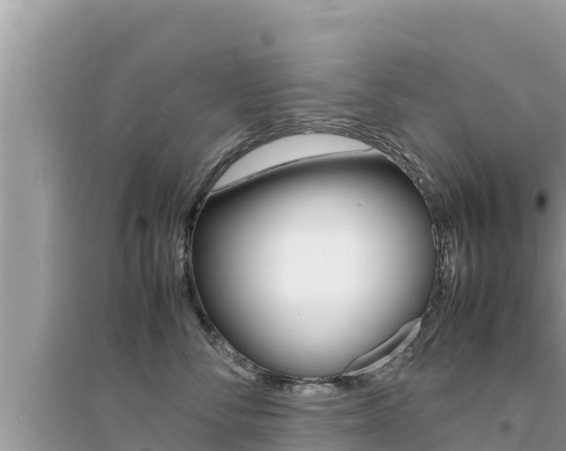 X0000095120716200712070943