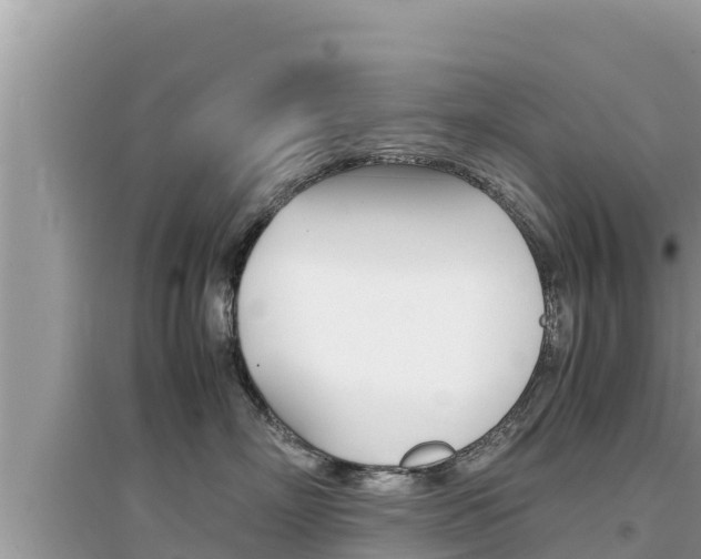 X0000095120718200712070943