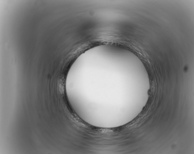 X0000095120719200712070943