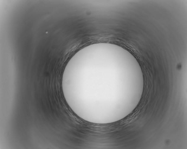 X0000095120720200712070943