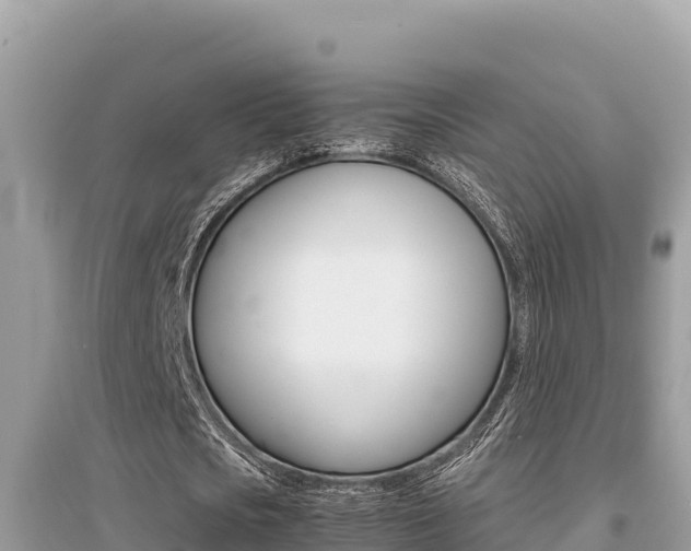 X0000095120721200712070942