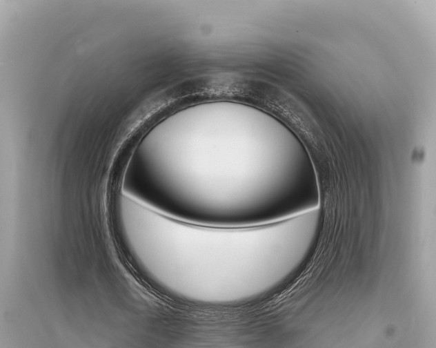 X0000095120722200712070942