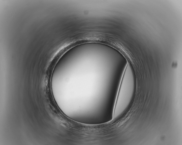 X0000095120723200712070942