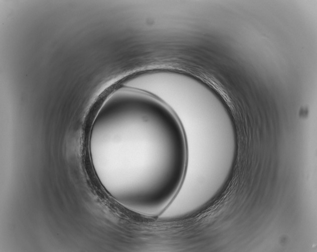 X0000095120724200712070942