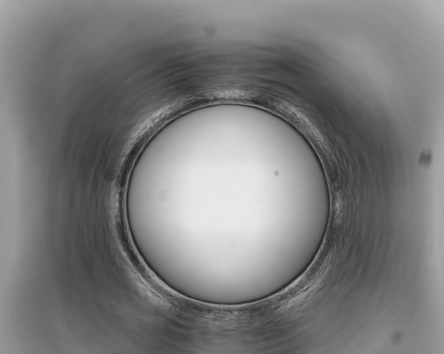 X0000095120725200712070942
