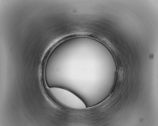 X0000095120726200712070942