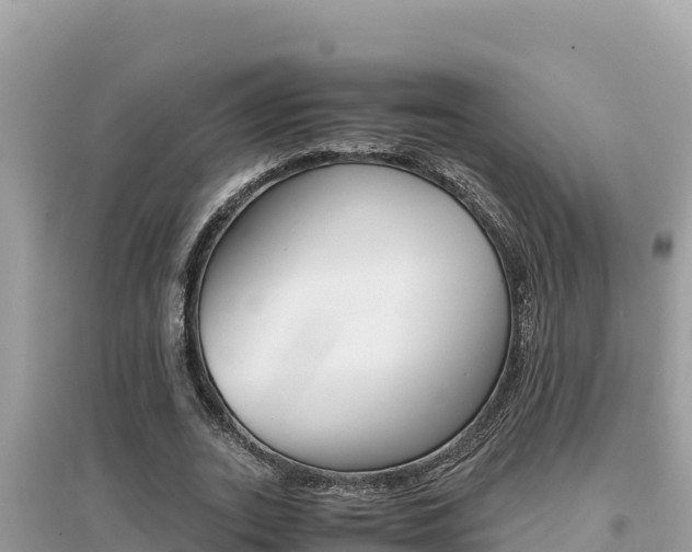 X0000095120727200712070942