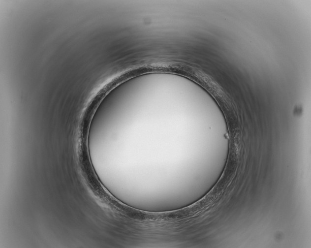 X0000095120728200712070942