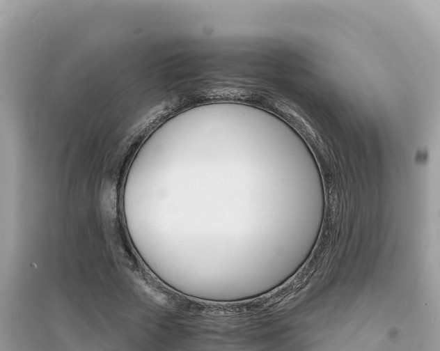 X0000095120729200712070942