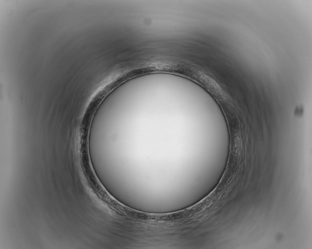 X0000095120730200712070942