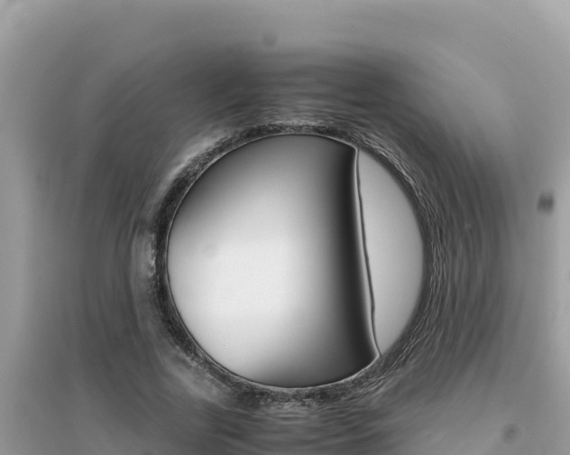 X0000095120731200712070942