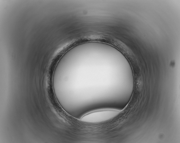 X0000095120732200712070942