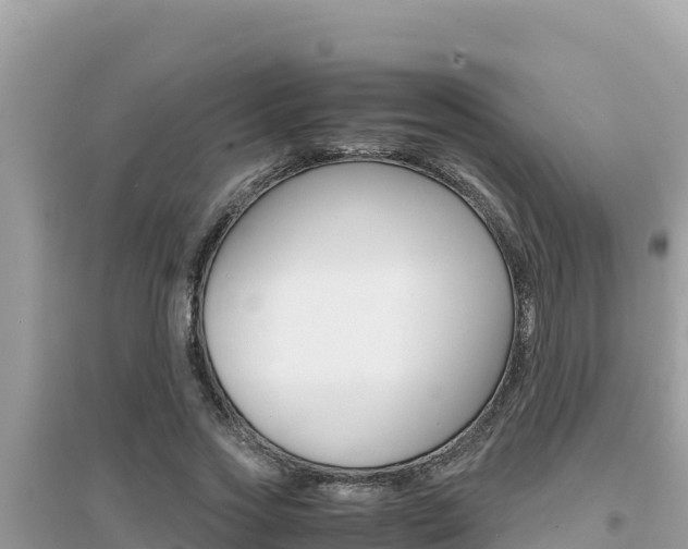 X0000095120733200712070942
